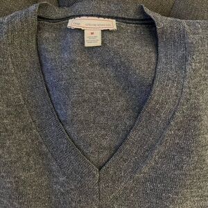 Gap Men’s V- neck sweater